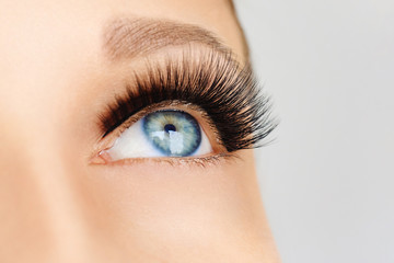 Female eye with extreme long false eyelashes and black liner. Eyelash extensions, make-up,...