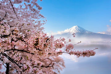 Mount fuji at Lake kawaguchiko with cherry blossom in Yamanashi near Tokyo, Japan.