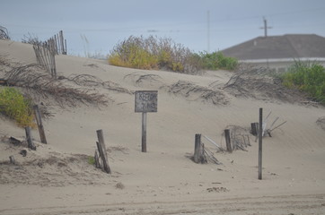 Dune Sign at Beach