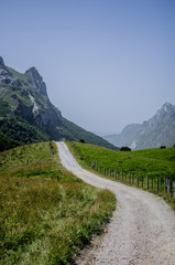 Plakat long and lonely path in a green valley between great mountains in somiedo, asturias, spain, europe