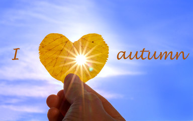Close up shot of hand holding yellow leaf of heart shape with sun rays shining through it at light blue sky background with lettering I love autumn.