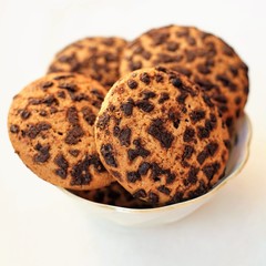 Oatmeal cookies, sprinkled with chocolate slices. Sweet dessert.