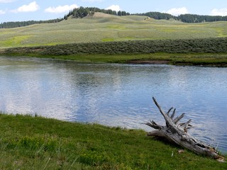 Upward view of the Yellowstone River at the Yellowstone National Park, with an uprooted tree stump...