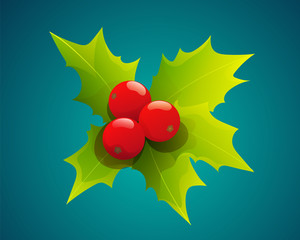 Christmas holly berry and leaves isolated on blue green background. Vector illustration.