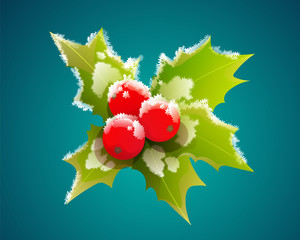 Christmas holly berry and leaves with frost isolated on blue green background. Vector illustration.