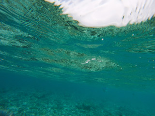Underwater surface looking up