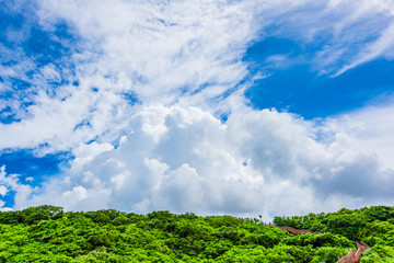 Fototapeta na wymiar 沖縄の夏空　Summer sky in Okinawa