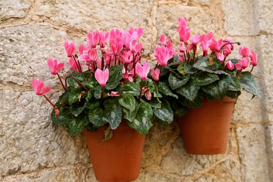 Mallorca, Hauswand-Deko in Valldemossa