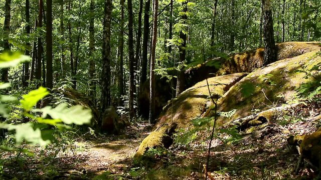 stone village in Ukraine, big stones in the forest, The tract stone village, Zhytomyr region village of Rudnya- Zamyslovichskaya, boulders covered with moss in a park