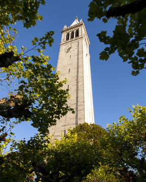 Campanile At UC Berkeley Framed By Trees