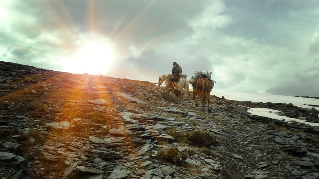 A rider with two horses walks along the path to the mountains. Bags with provisions on horses. The rays of the sun look out from behind the top. Soft blur effect.