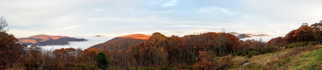 Aerial twilight panorama of mountain forests in autumn