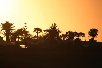 Tuinposter Silhouette von Palmen © Andrina