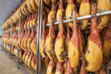 Spanish ham cellar. Food industry