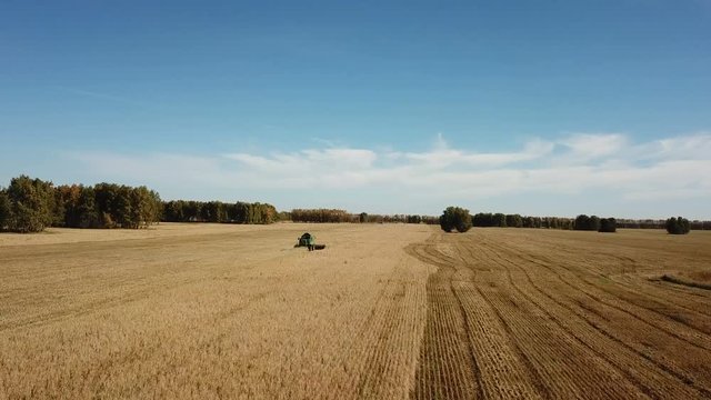 Aerial view Combine Harvester gathers crop. Harvesting grain field, crop season.