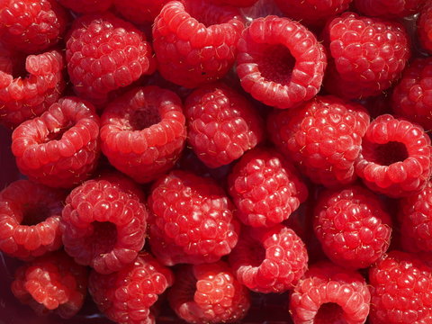 Himbeeren