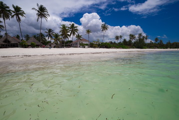 Zanzibar, landscape sea, dirty storm ocean