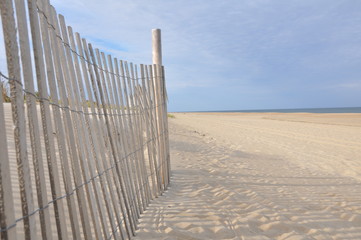Dune Fence at the Beach
