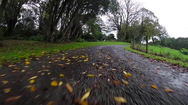 POV of a car, at low level, travelling along remote road in the rain