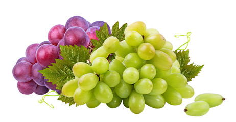 Fresh grapes isolated on white background with clipping pass