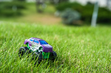 baby car in the grass