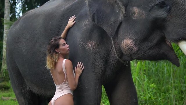 Beautiful young female model in swimwear stands by the elephant in the jungles