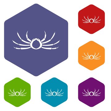 494 Best Japanese Spider Crab Images Stock Photos Vectors Adobe Stock 494 Best Japanese Spider Crab Images Stock Photos Vectors Adobe Stock
