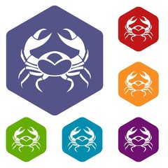 Big crab icons set hexagon isolated vector illustration