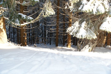 wintertime in Germany harz great weather for wintersports or snowboard
