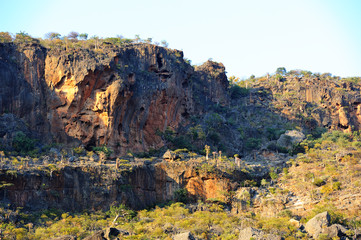  Pictorial landscape of the Socotra island,Yemen