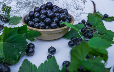 Fresh berries of black currant in a plate on a table. For a diet and saturation with vitamins