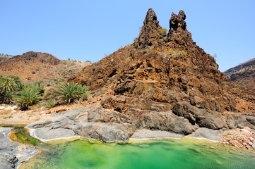  Pictorial landscape of the Socotra island,Yemen