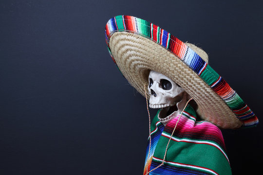 Day of the Dead.  Human skeleton wearing a beautiful serape sombrero (hat)