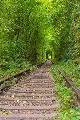 Obraz premium Railway in the forest, nature tunnel