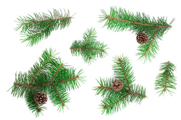 Fir tree branch with cones isolated on white background. Christmas background. Top view