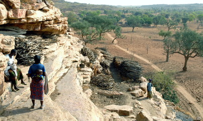 Femmes et leurs réserves de bois descendent des falaises de Bandiagara vers Niongono, Pays Dogon, Mali, Afrique - obrazy, fototapety, plakaty