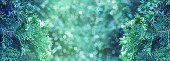 Fototapeta na wymiar Christmas festive background. Background of branches of thuja, snowflakes, glow, bokeh