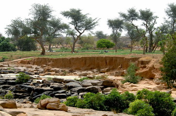 Paysage, Région de Songho, rochers, arbres verts et terre rouge, Pays Dogons, Mali, Afrique