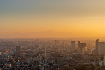 Naklejka na ściany i meble Mount Fuji from downtown Tokyo
