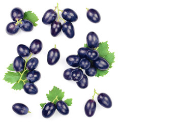 bue grapes wih leaves isolated on the white background with copy space for your text. Top view....