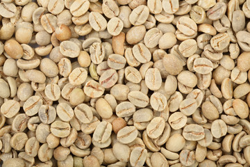 green coffee beans background close up. Top view