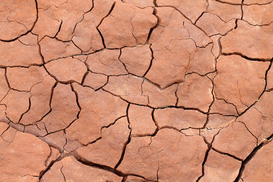 The background with red dry cracked clay. The clay from the bottom of the Black Sea.
