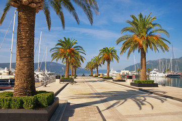 Fototapeta na wymiar Yacht marina of Porto Montenegro. Montenegro, Bay of Kotor, Tivat city