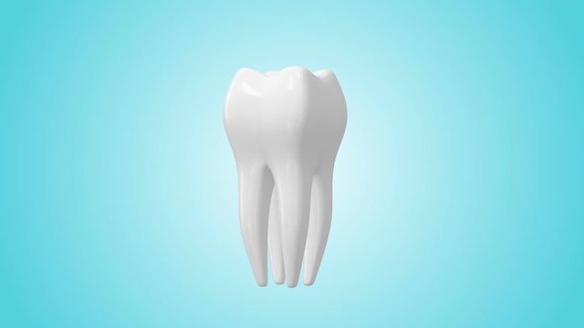 3d animation of rotating white tooth on a blue background. Seamlees loop