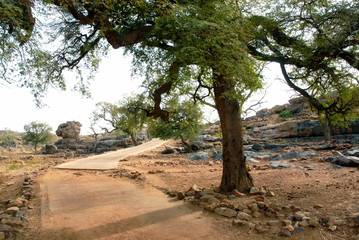 Fototapeta na wymiar Piste en mauvais état entre tronçons en terre rouge et zone cimentée à l'ombre des arbres verts, Mali, Afrique
