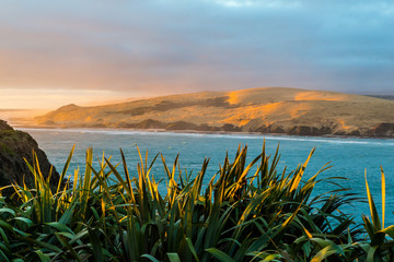 Sunset on the west coast - Hokianga Heads 