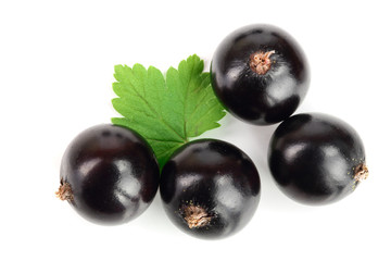 black currant with leaves isolated on white background. Top view. Flat lay pattern