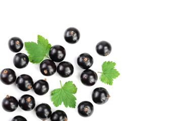 black currant with leaves isolated on white background with copy space for your text. Top view. Flat lay pattern