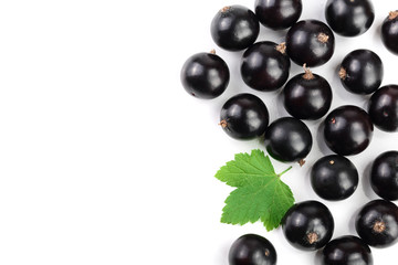 black currant with leaves isolated on white background with copy space for your text. Top view. Flat lay pattern