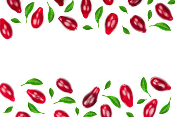 Red berries of cornel or dogwood decorated with green leaves isolated on white background with copy space for your text. Top view. Flat lay